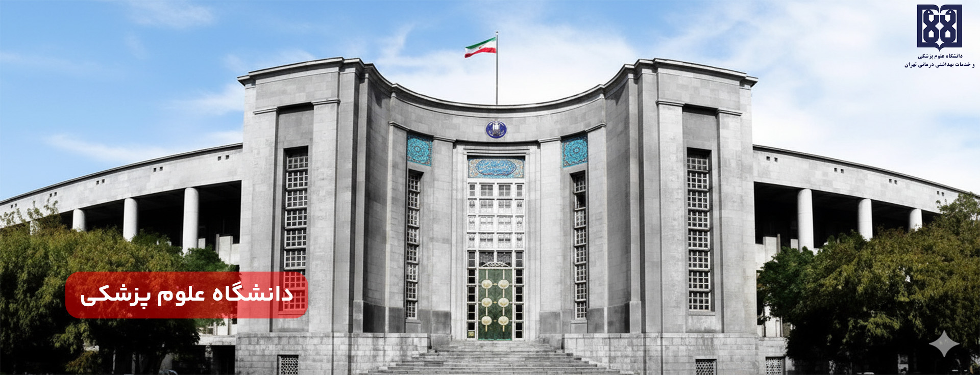 شرکت ویرا در