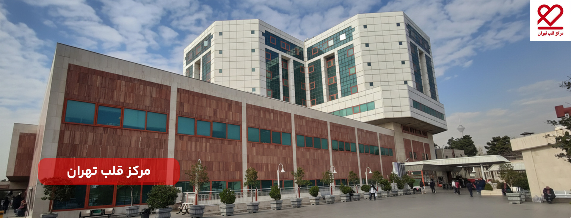 شرکت ویرا در